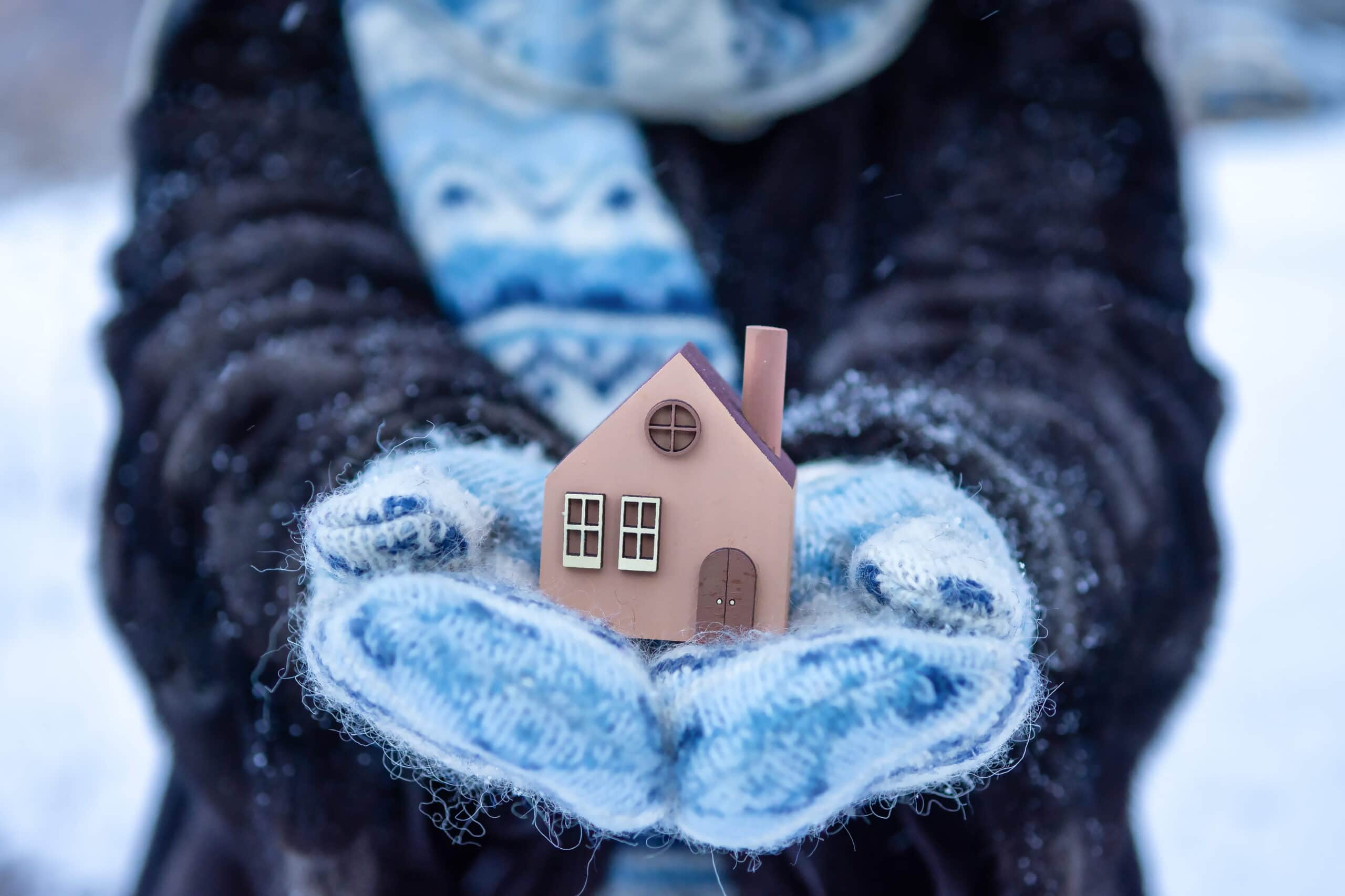 Wortham AC - Wooden House Winter
